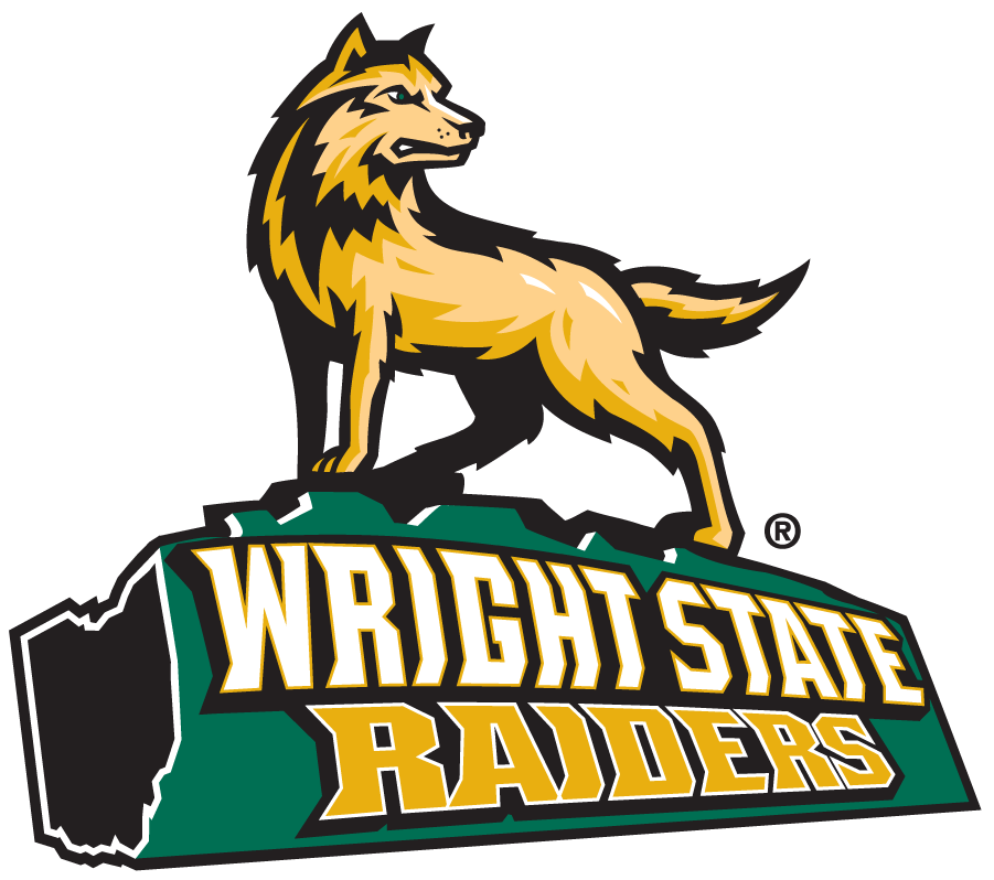 Wright State Raiders 1997-2013 Alternate Logo DIY iron on transfer (heat transfer)